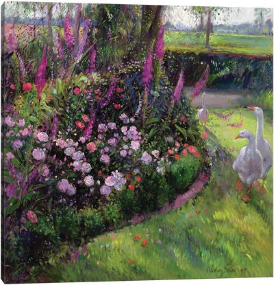 Rose Bed And Geese, 1992 Canvas Art Print - Garden & Floral Landscape Art