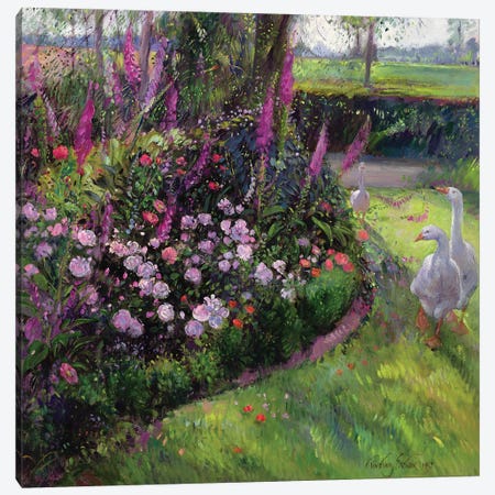 Rose Bed And Geese, 1992 Canvas Print #EST69} by Timothy Easton Canvas Art