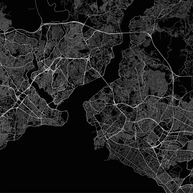 Istanbul Urban Roadway Map (Black) by Urbanmap wall art