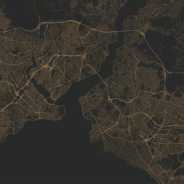 Istanbul Urban Roadway Map (Gold) by Urbanmap wall art