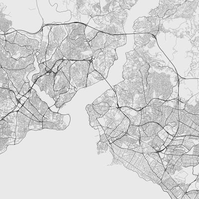 Istanbul Urban Roadway Map (White) by Urbanmap art print