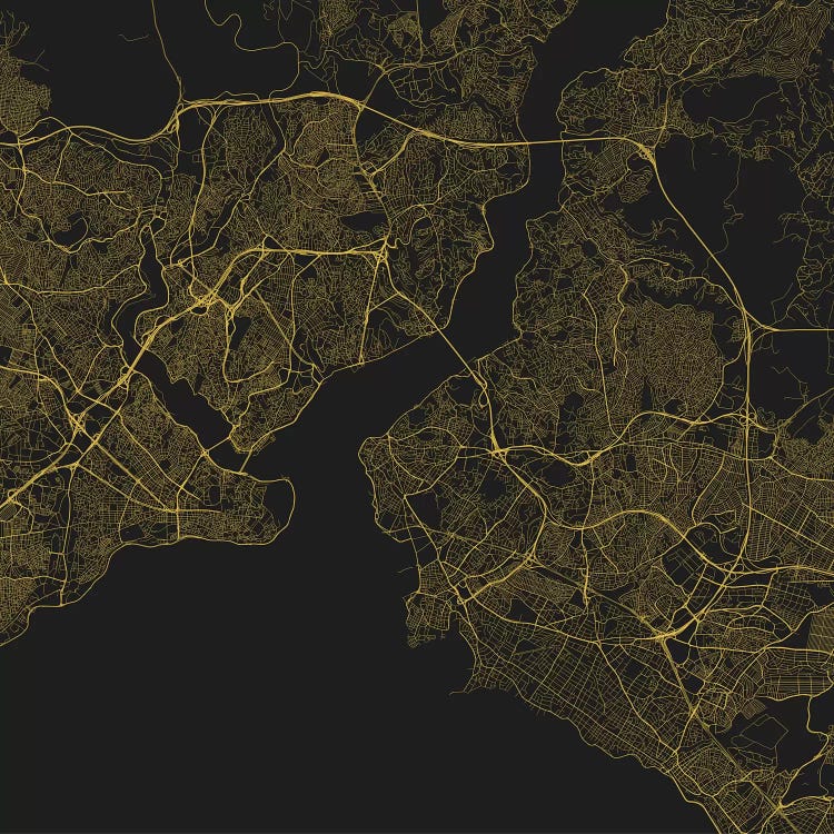 Istanbul Urban Roadway Map (Yellow) by Urbanmap wall art