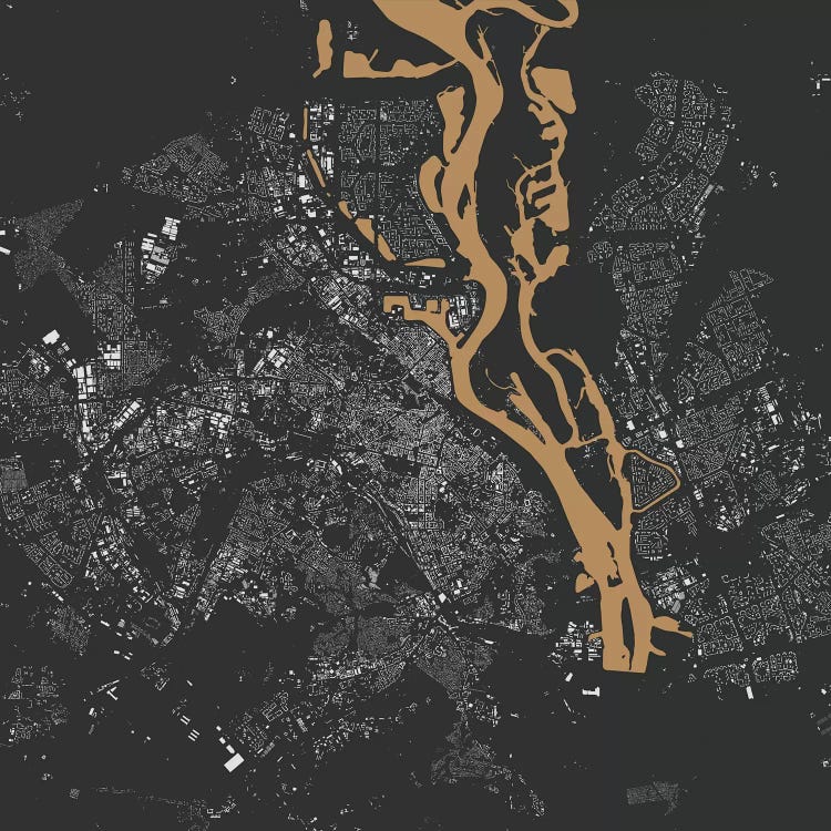 Kyiv Urban Map (Gold)