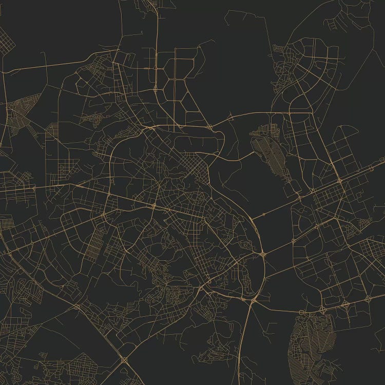 Kyiv Urban Roadway Map (Gold)