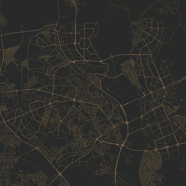 Kyiv Urban Roadway Map (Gold)