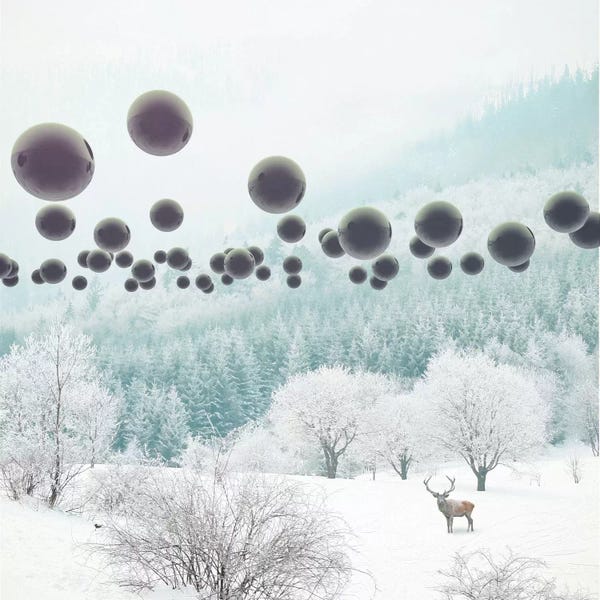 Imagination: Forest Phantom by Evgenij Soloviev