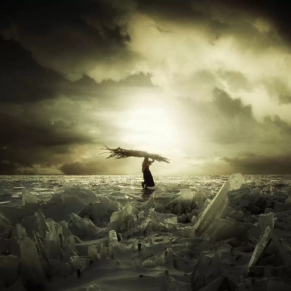 Evgenij Soloviev: Frozen Nation by Evgenij Soloviev