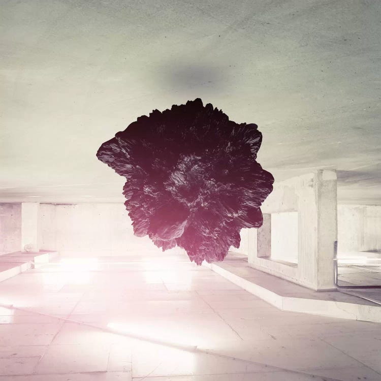 Amazrd by Evgenij Soloviev wall art
