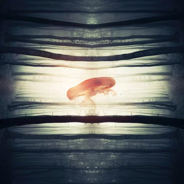 Evgenij Soloviev: Glow by Evgenij Soloviev
