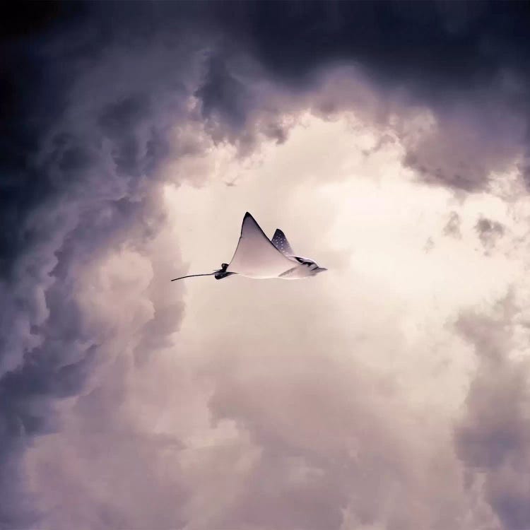 lltt by Evgenij Soloviev wall art