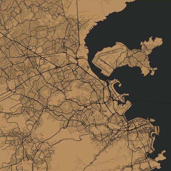 Brazil: Rio de Janeiro Urban Map (Gold) by Urbanmap