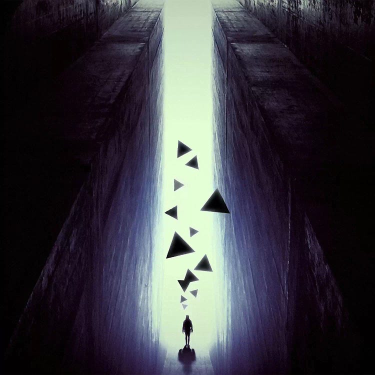 Plastique by Evgenij Soloviev wall art