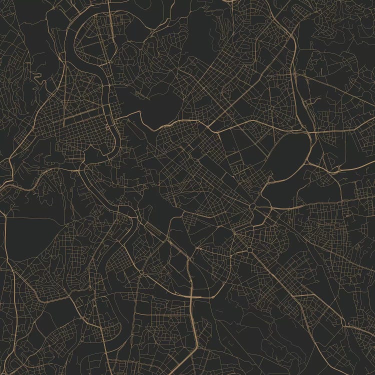 Rome Urban Roadway Map (Black & Gold)