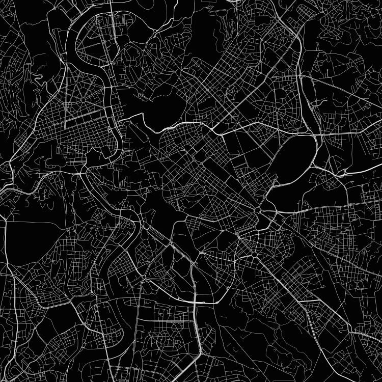 Rome Urban Roadway Map (Black)