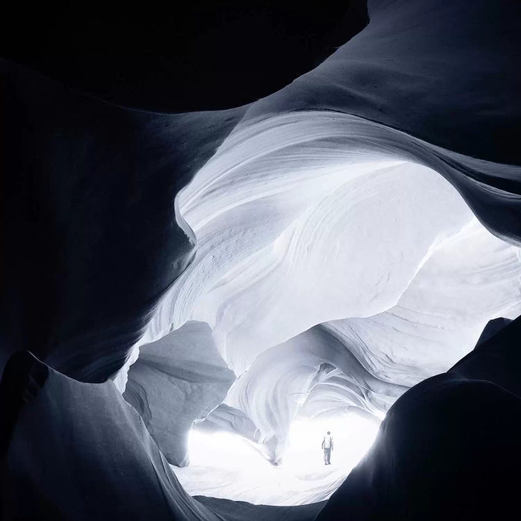 Shudder by Evgenij Soloviev wall art