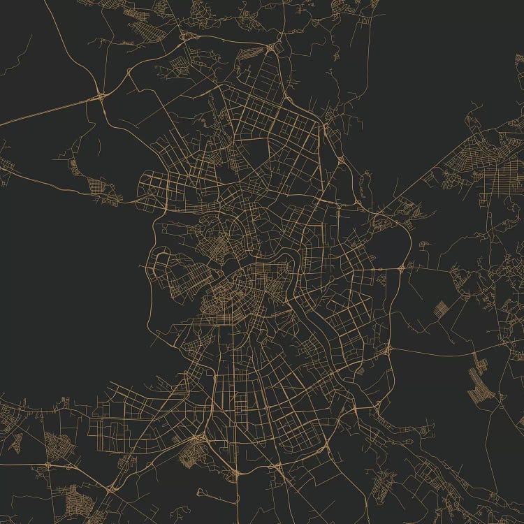 St. Petersburg Urban Roadway Map (Gold)