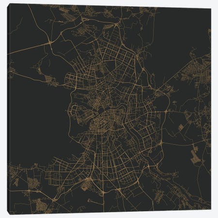 St. Petersburg Urban Roadway Map (Gold) Canvas Print #ESV351} by Urbanmap Canvas Print