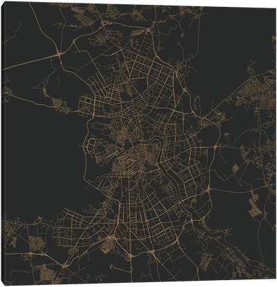 St. Petersburg Urban Roadway Map (Gold) Canvas Art Print - Urbanmap