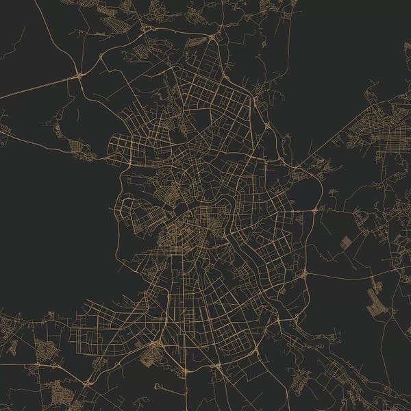Abstract: St. Petersburg Urban Roadway Map (Gold) by Urbanmap