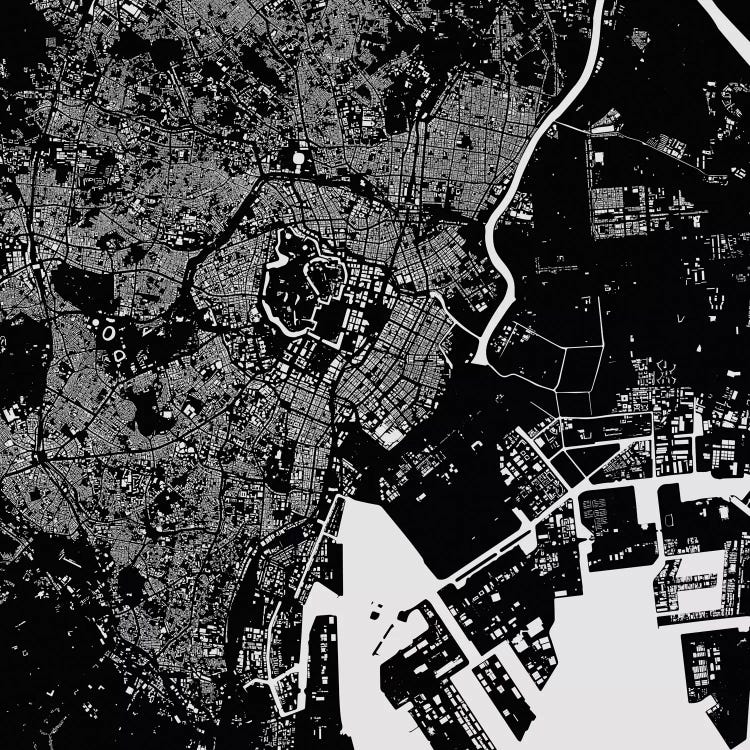 Tokyo Urban Map (Black)