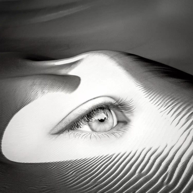 Untrue by Evgenij Soloviev wall art