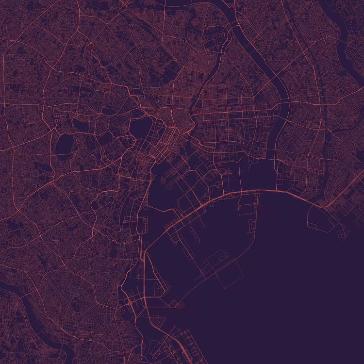 Tokyo Urban Roadway Map (Purple Night)