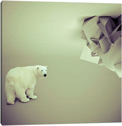 Whoach Canvas Art Print - Polar Bear Art