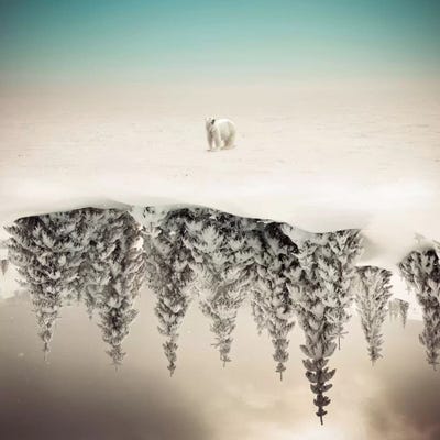 Brod by Evgenij Soloviev metal wall art