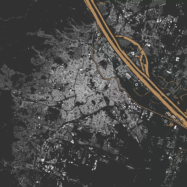 Vienna Urban Map (Gold) by Urbanmap wall art