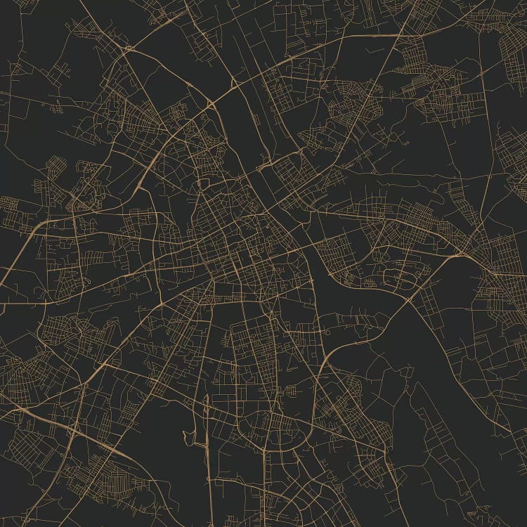 Warsaw Urban Roadway Map (Gold)