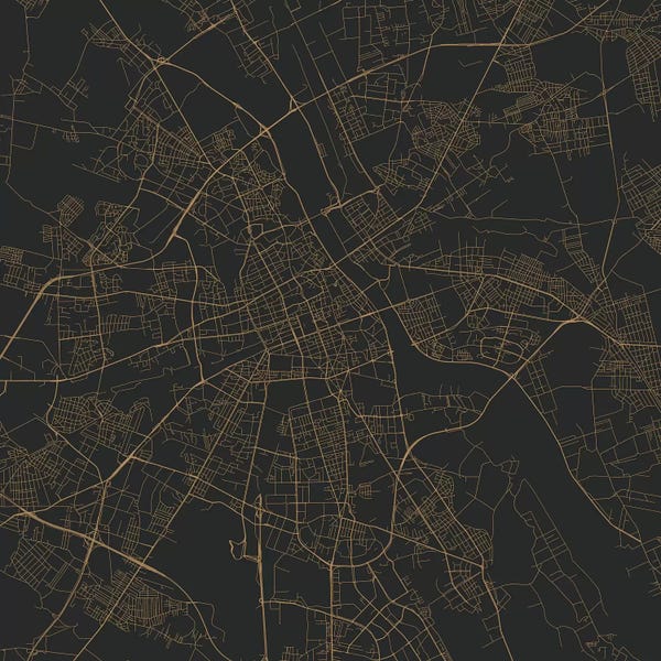 Abstract: Warsaw Urban Roadway Map (Gold) by Urbanmap