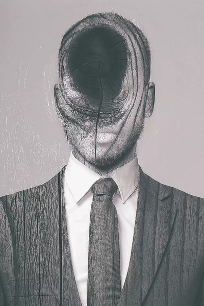 Woods Passport by Evgenij Soloviev art print