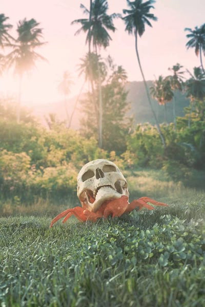 Skeletons: New Home by Evgenij Soloviev