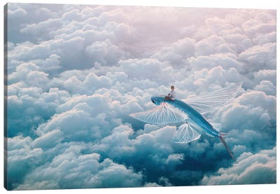 Plane Canvas Art Print - Evgenij Soloviev