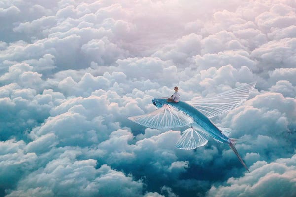 Kids Ocean Life Art: Plane by Evgenij Soloviev