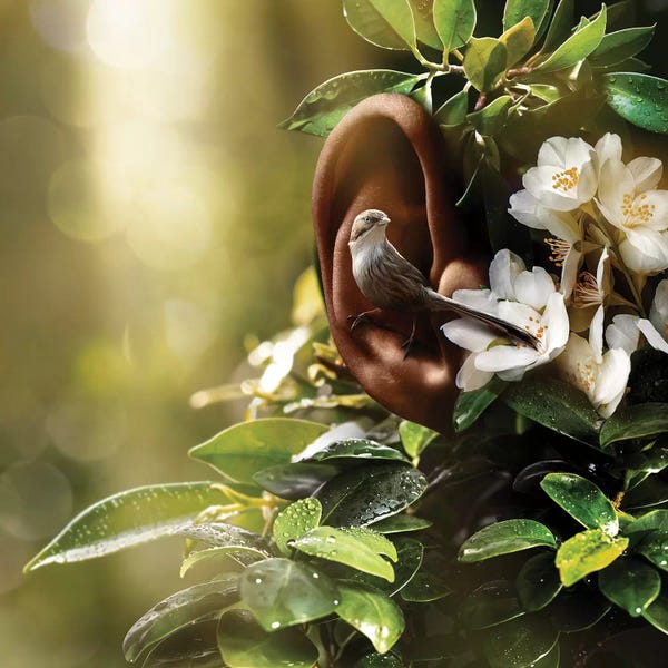 Reclaimed By Nature: Sound Of Nature by Evgenij Soloviev