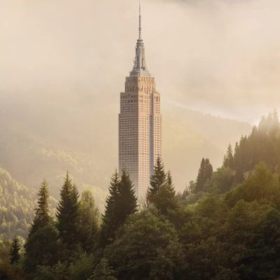 Forecity IV by Evgenij Soloviev framed wall art