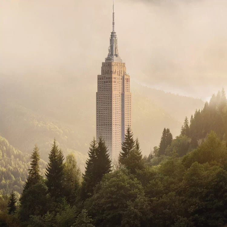 Forecity IV by Evgenij Soloviev wall art