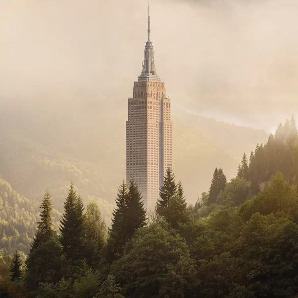 Empire State Building: Forecity IV by Evgenij Soloviev