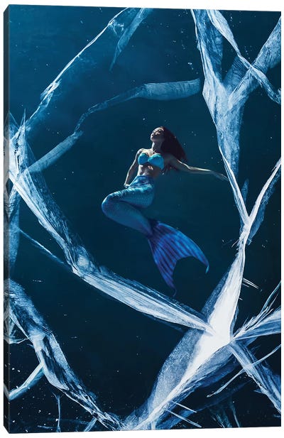 Ice Mermaid Canvas Art Print - Evgenij Soloviev