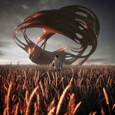 Fields Voice by Evgenij Soloviev art print