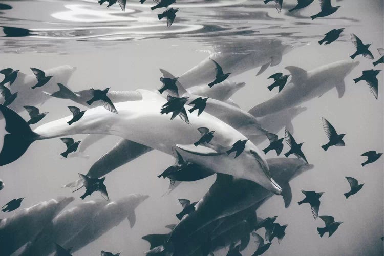 Found Out by Evgenij Soloviev wall art