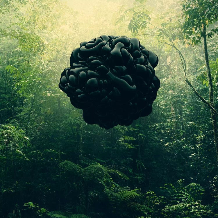 Blacks by Evgenij Soloviev wall art