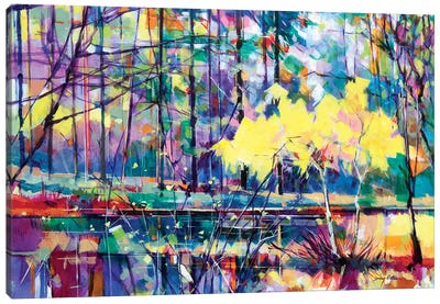 Meadowcliff Island Canvas Art Print - Field, Grassland & Meadow Art