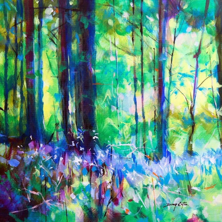 Speech House Bluebells by Doug Eaton wall art