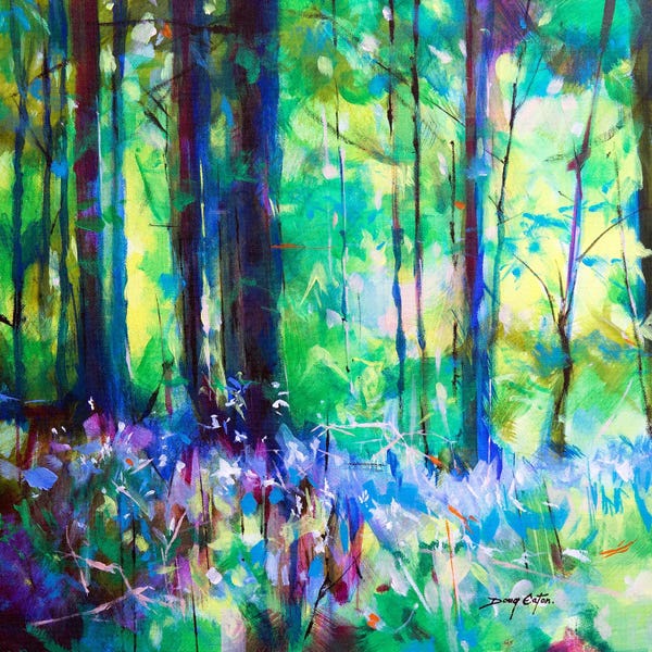 Doug Eaton: Speech House Bluebells by Doug Eaton