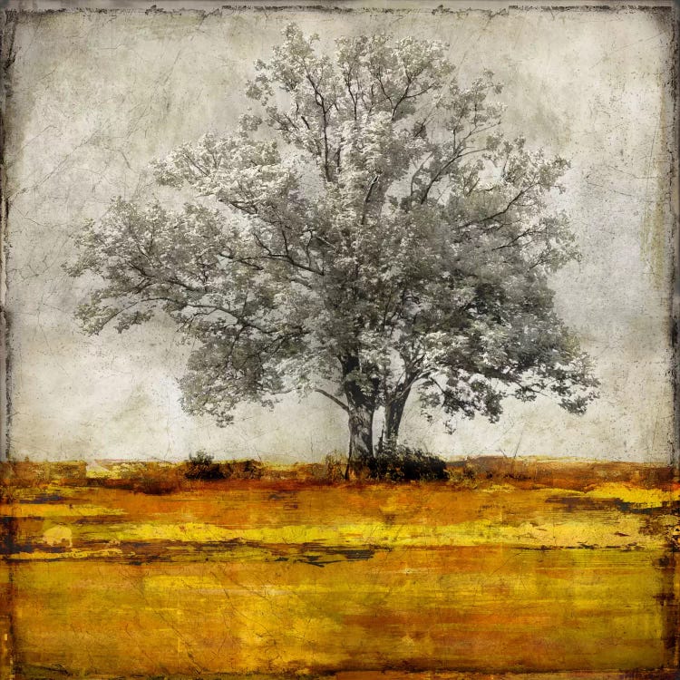 Majestic - Amber by Eric Turner wall art