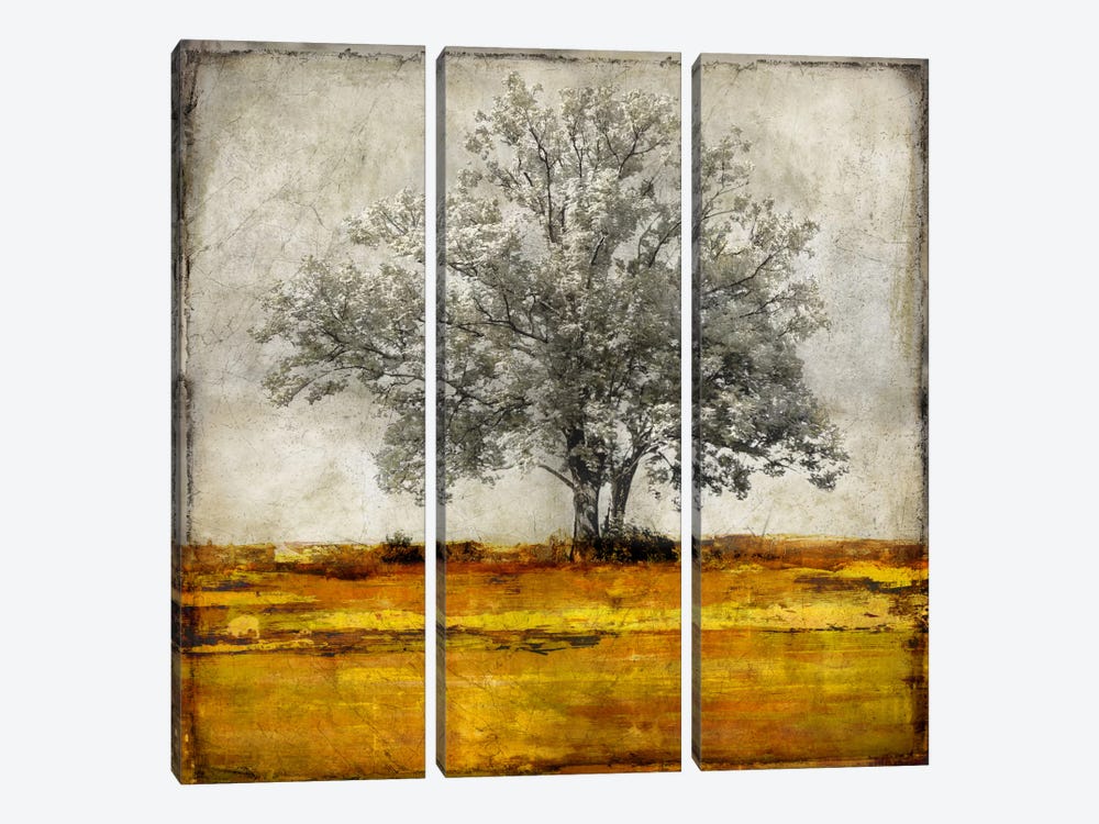 Majestic - Amber by Eric Turner 3-piece Canvas Art Print