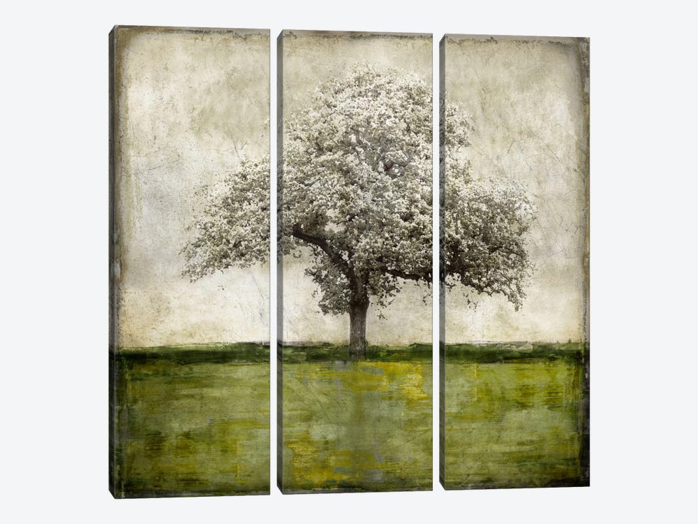 Majestic - Green by Eric Turner 3-piece Canvas Artwork