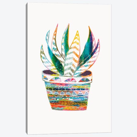 Succulent, Rainbow Canvas Print #ETV108} by EttaVee Canvas Artwork